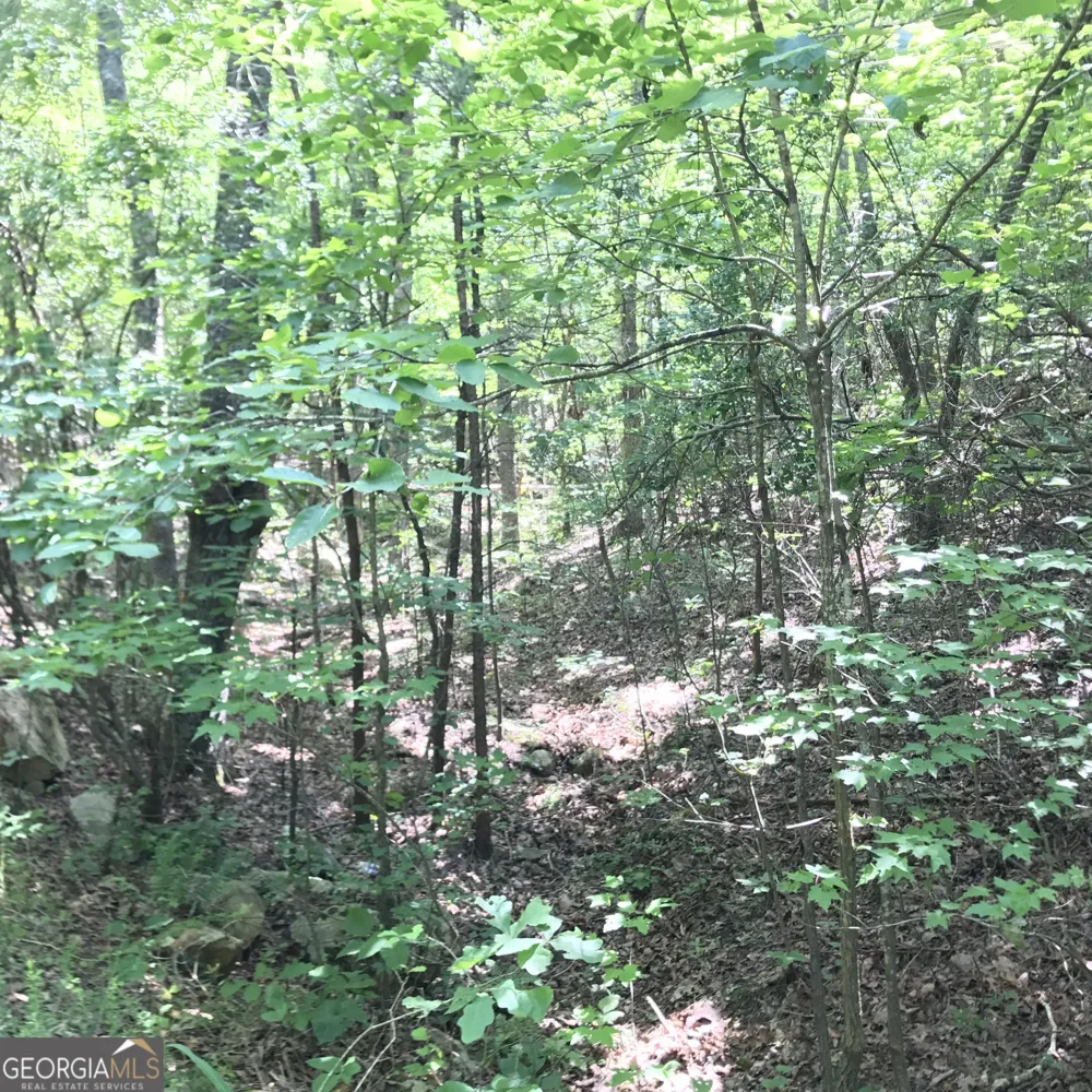 587 E Valley RD NE Rydal, GA 30171