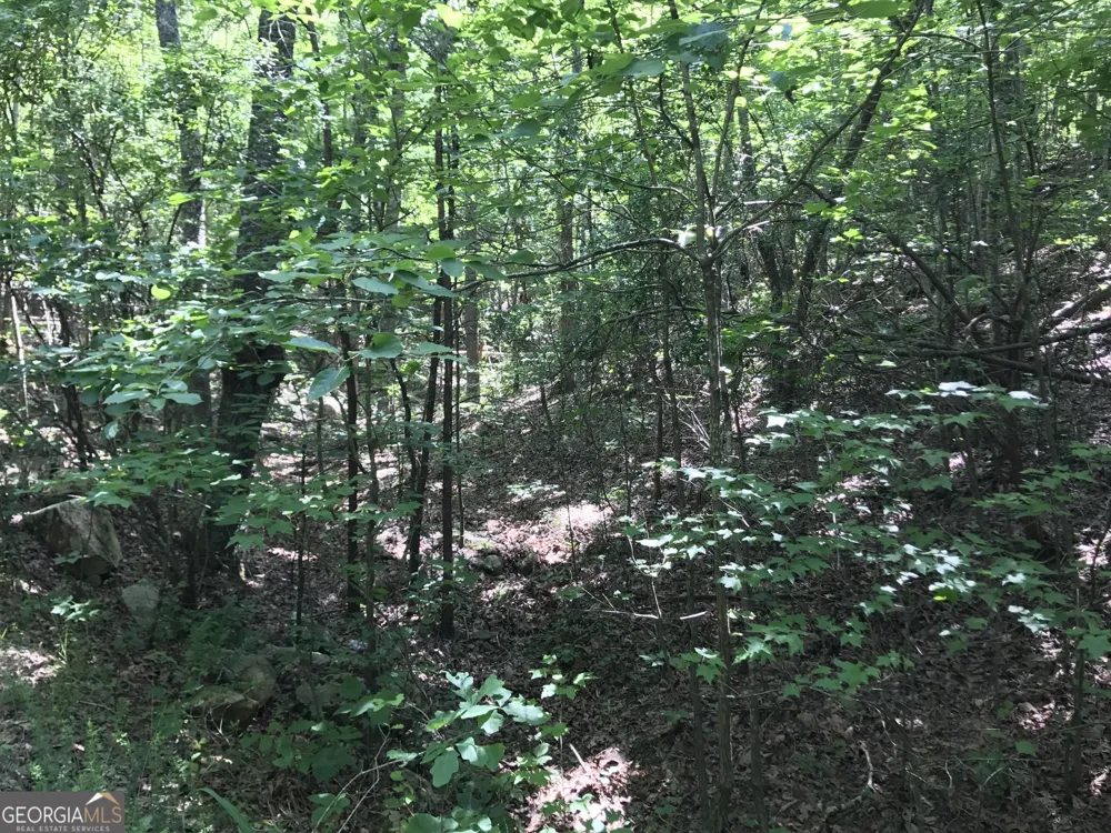 587 E Valley RD NE Rydal, GA 30171