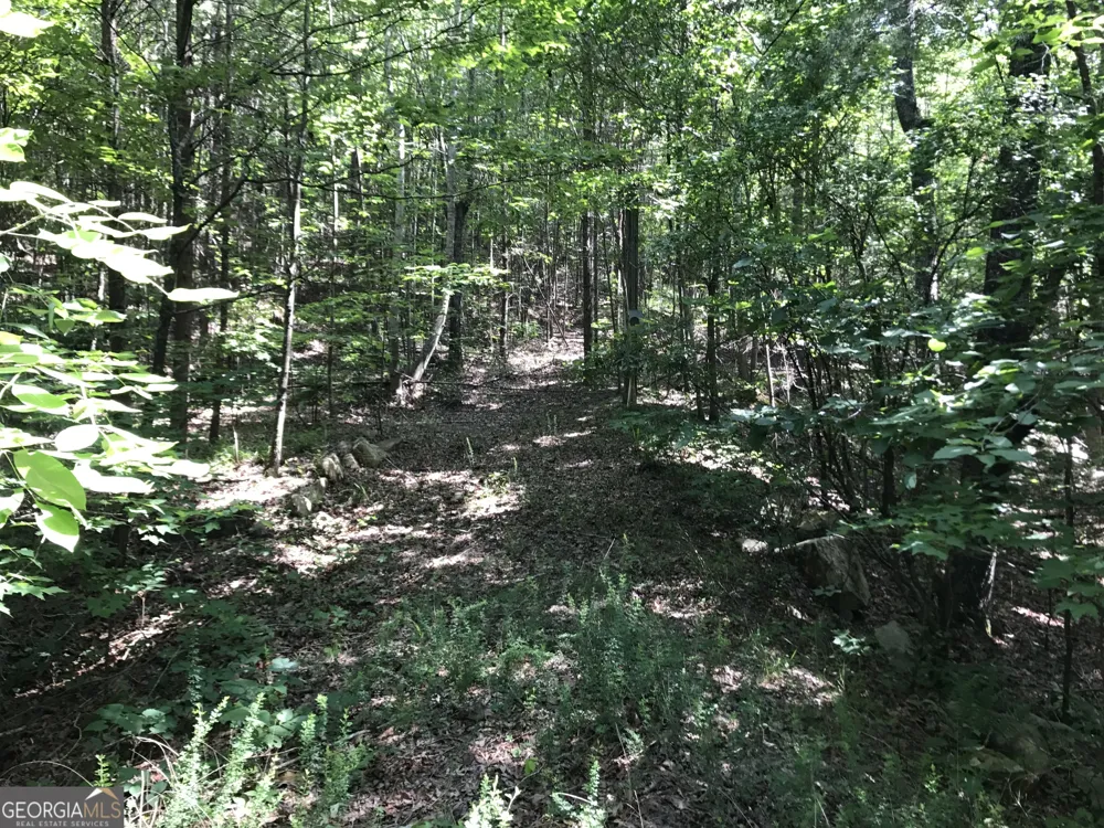 587 E Valley RD NE Rydal, GA 30171