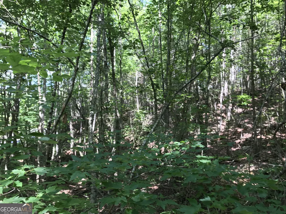 587 E Valley RD NE Rydal, GA 30171