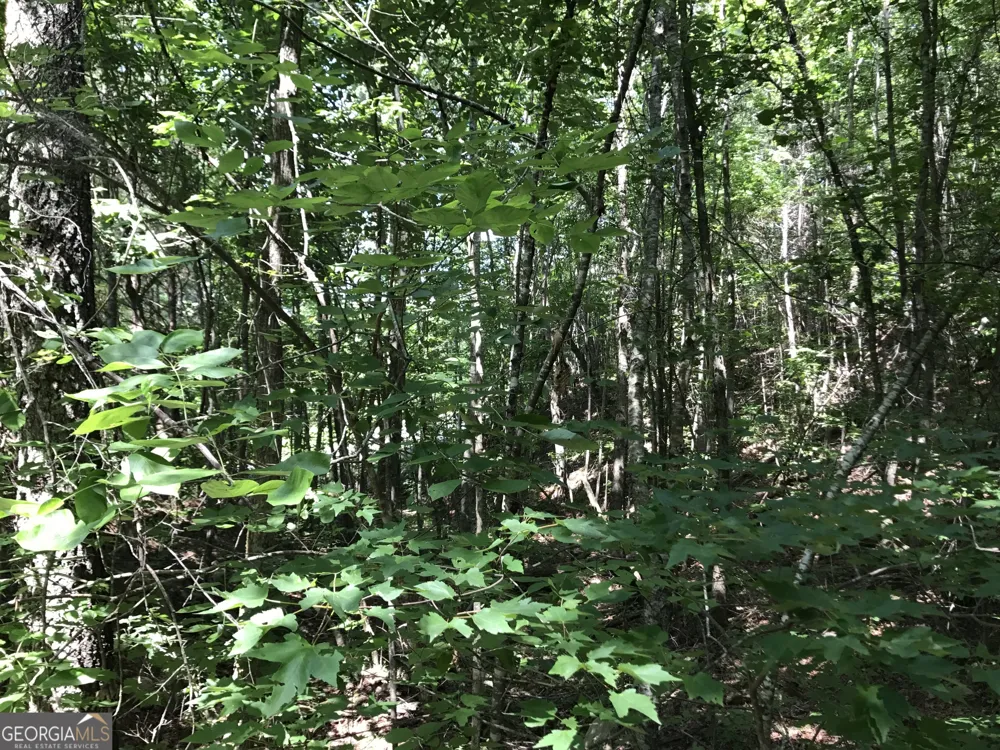 587 E Valley RD NE Rydal, GA 30171