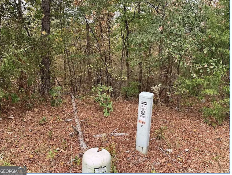 4103 Sierra CT SW Stockbridge, GA 30281
