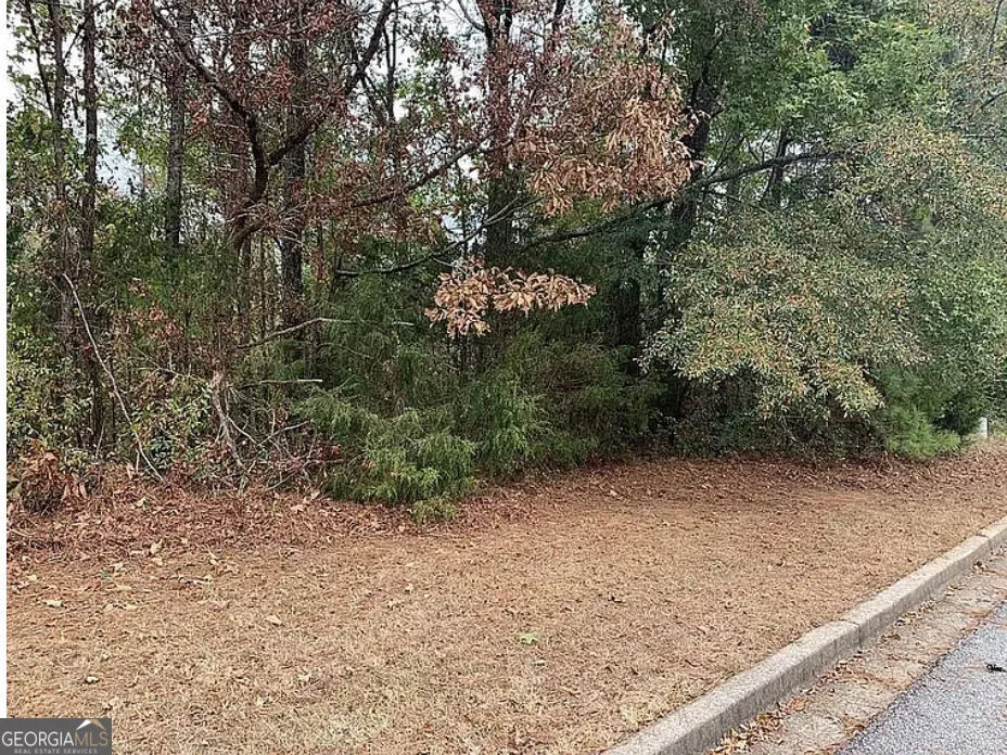 4103 Sierra CT SW Stockbridge, GA 30281