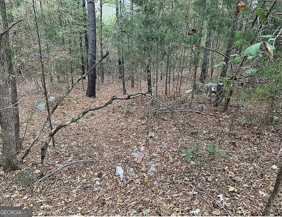4103 Sierra CT SW Stockbridge, GA 30281