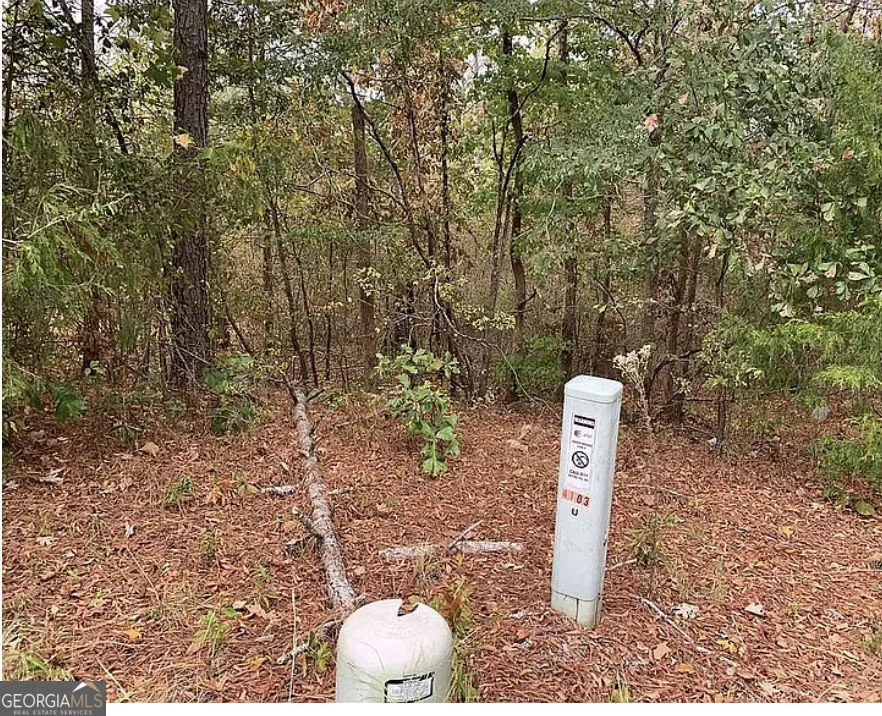4103 Sierra CT SW Stockbridge, GA 30281