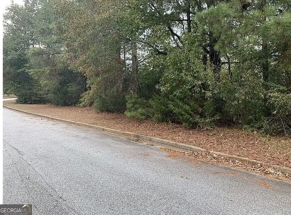 4103 Sierra CT SW Stockbridge, GA 30281