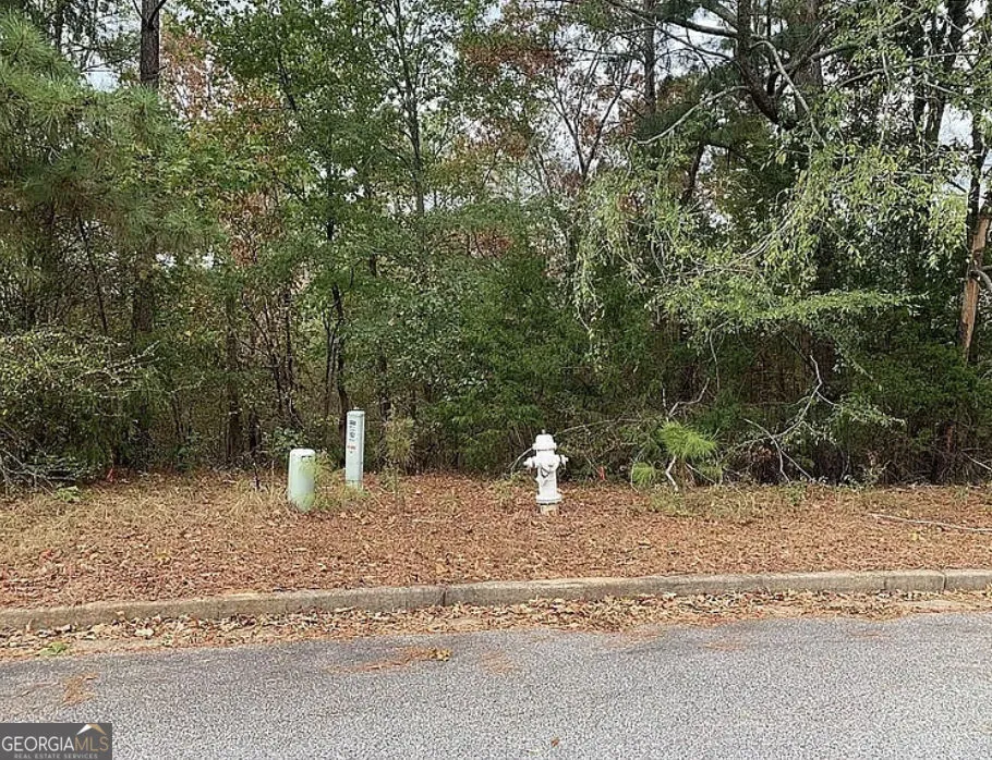 4103 Sierra CT SW Stockbridge, GA 30281