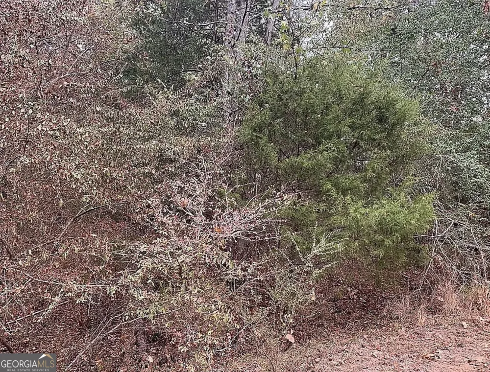 4103 Sierra CT SW Stockbridge, GA 30281