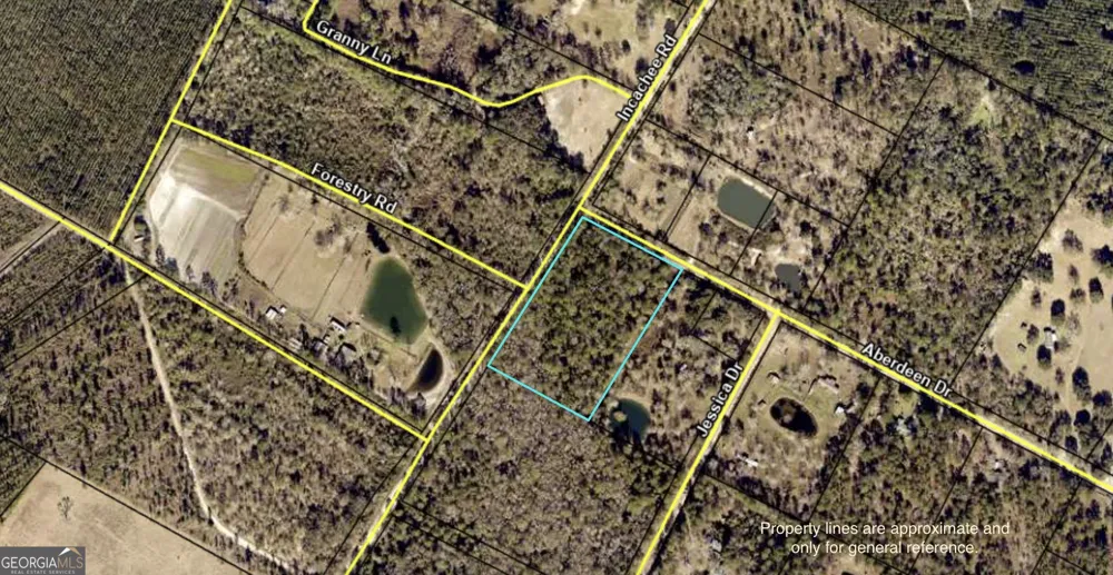 V/L 1 Aberdeen DR Waverly, GA 31565