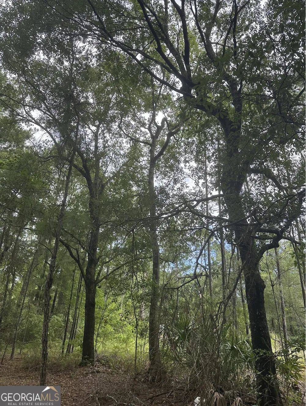 V/L 1 Aberdeen DR Waverly, GA 31565