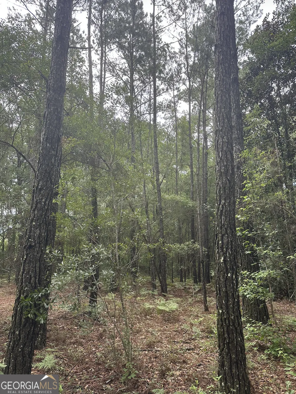 V/L 1 Aberdeen DR Waverly, GA 31565