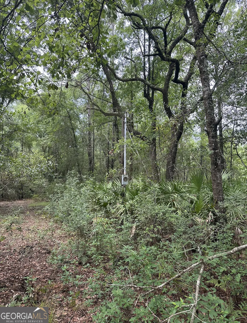 V/L 1 Aberdeen DR Waverly, GA 31565