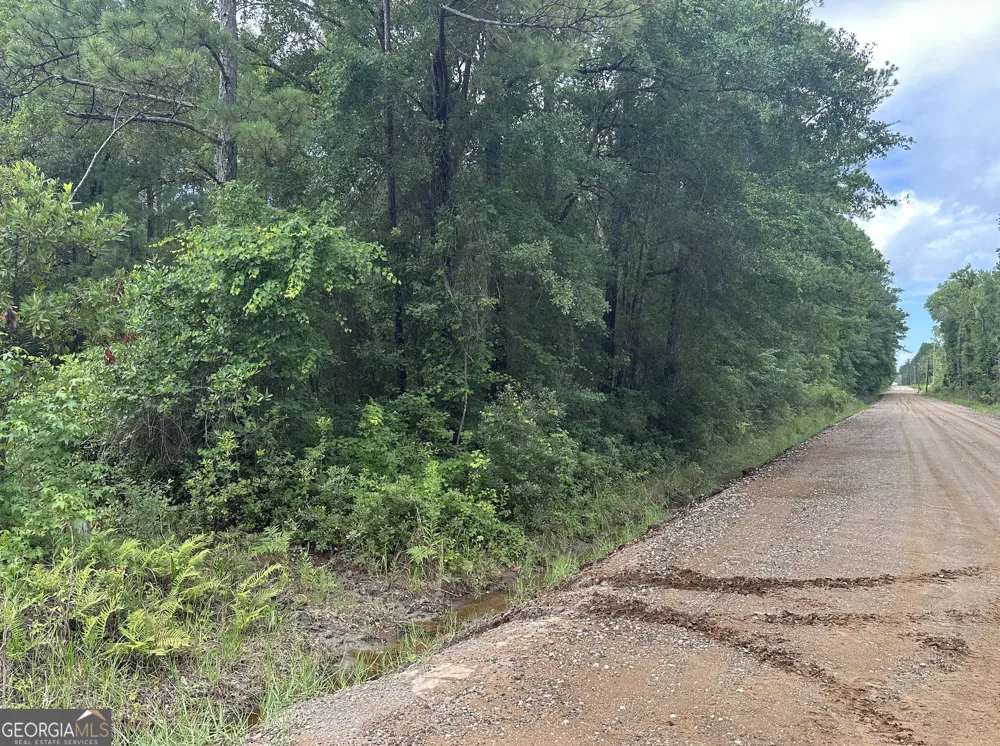 V/L 1 Aberdeen DR Waverly, GA 31565