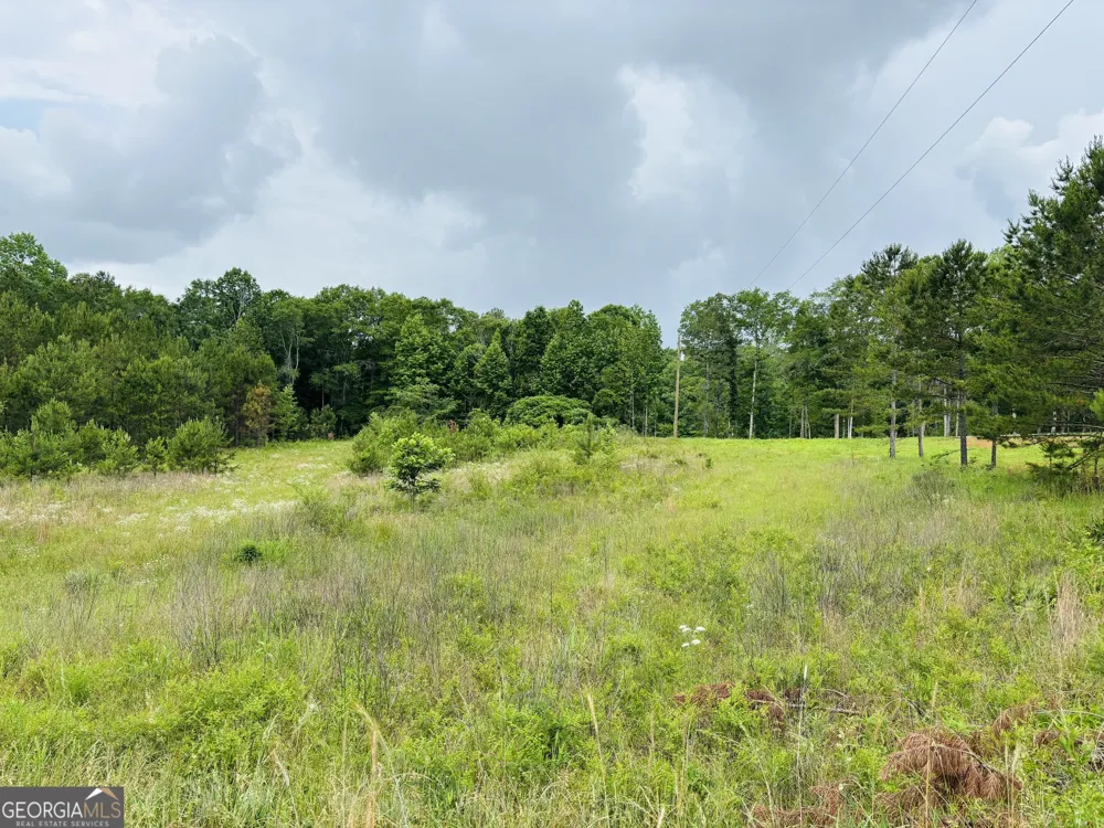 LOT 8 County Road 499 Woodland, AL 36280