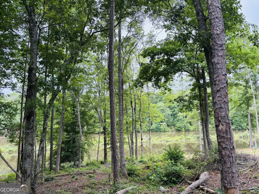 LOT 8 County Road 499 Woodland, AL 36280