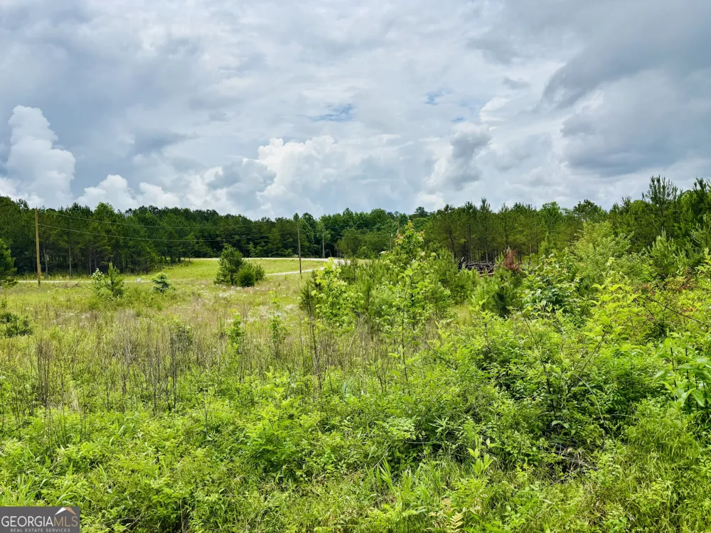 LOT 8 County Road 499 Woodland, AL 36280