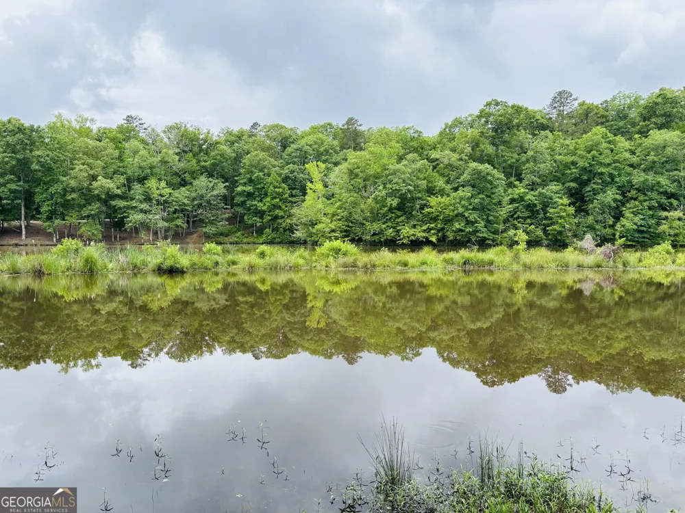 LOT 8 County Road 499 Woodland, AL 36280