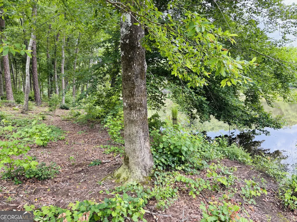LOT 8 County Road 499 Woodland, AL 36280