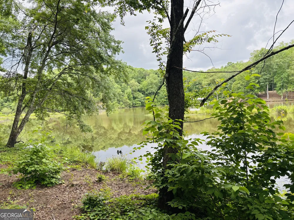 LOT 8 County Road 499 Woodland, AL 36280