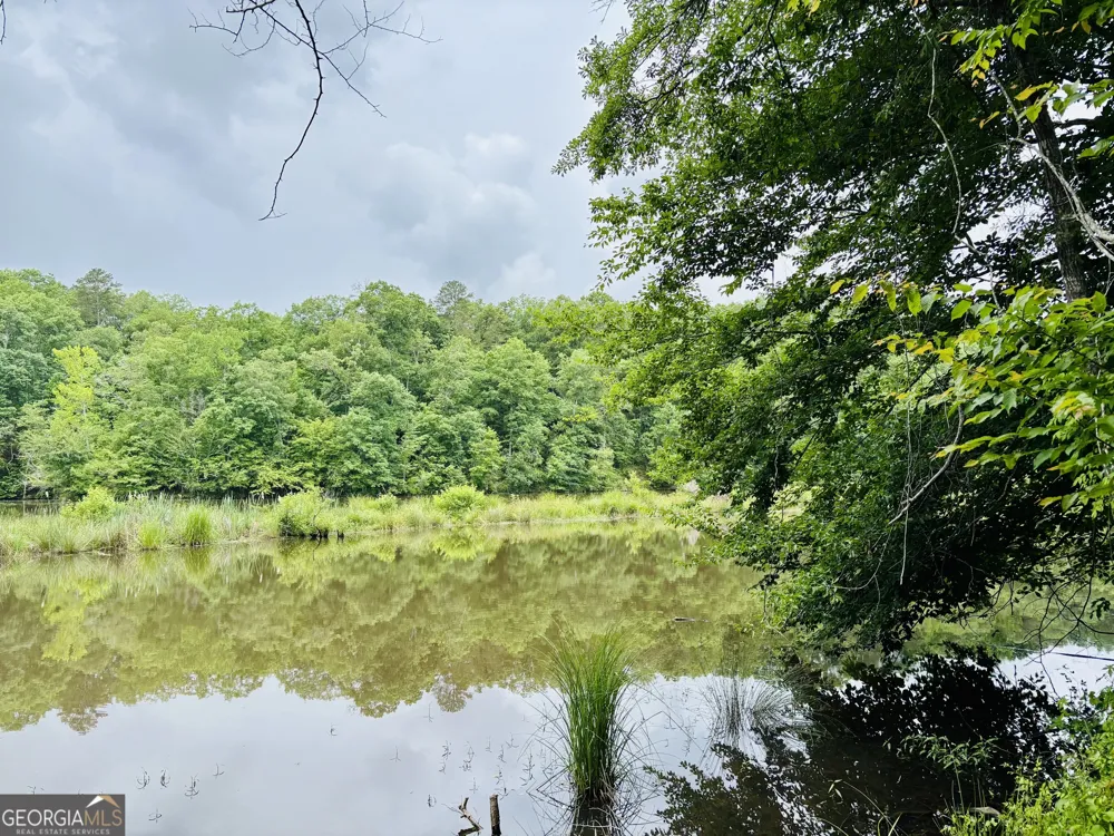 LOT 8 County Road 499 Woodland, AL 36280
