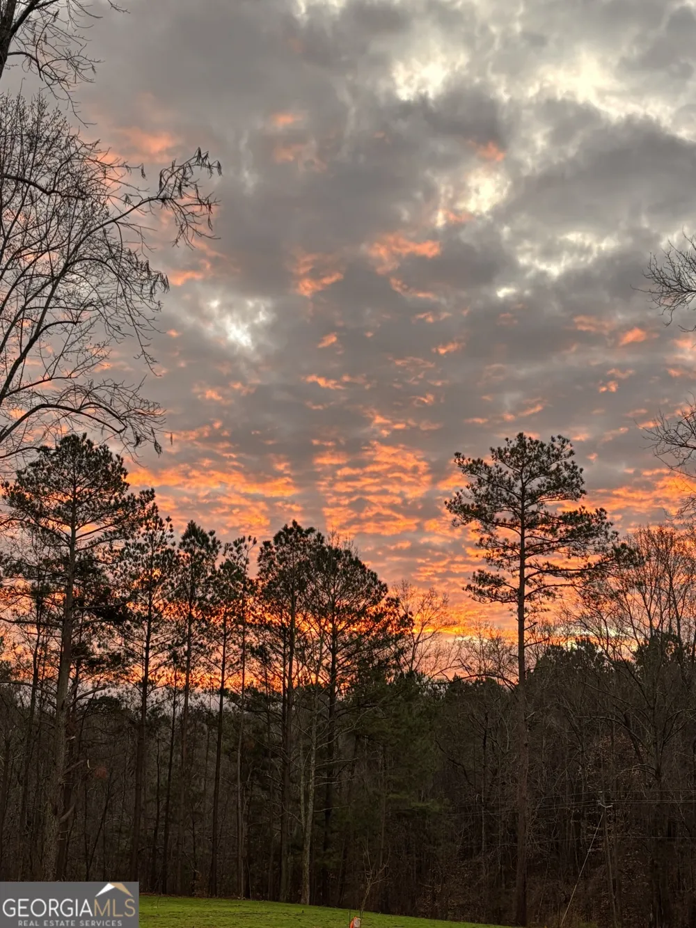 LOT 8 County Road 499 Woodland, AL 36280