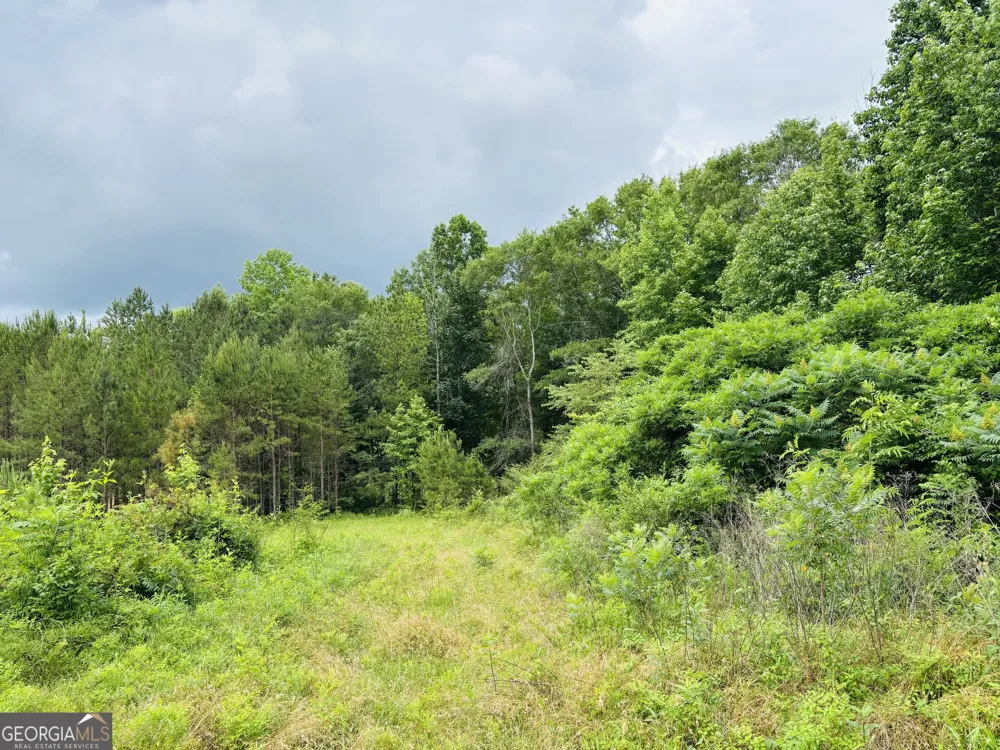 LOT 8 County Road 499 Woodland, AL 36280