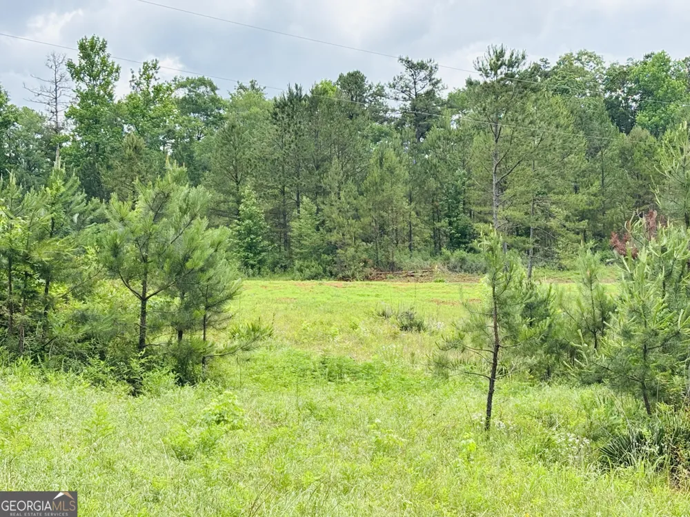 LOT 8 County Road 499 Woodland, AL 36280