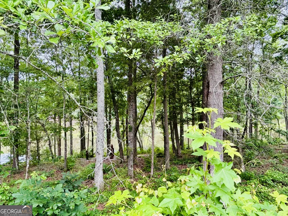 LOT 8 County Road 499 Woodland, AL 36280