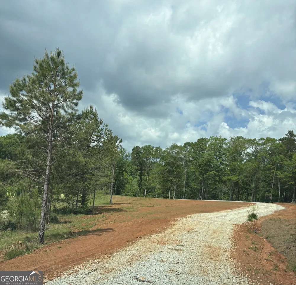 LOT 8 County Road 499 Woodland, AL 36280