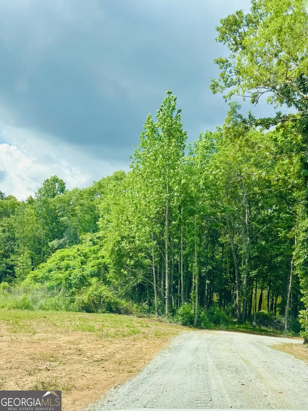 LOT 8 County Road 499 Woodland, AL 36280