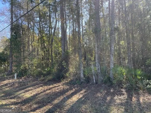 LOT 4 W King AVE Kingsland, GA 31548