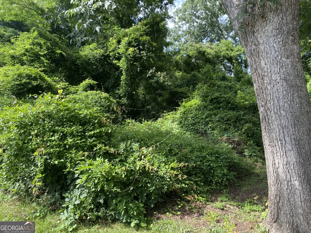 0 Dogwood North AVE Social Circle, GA 30025