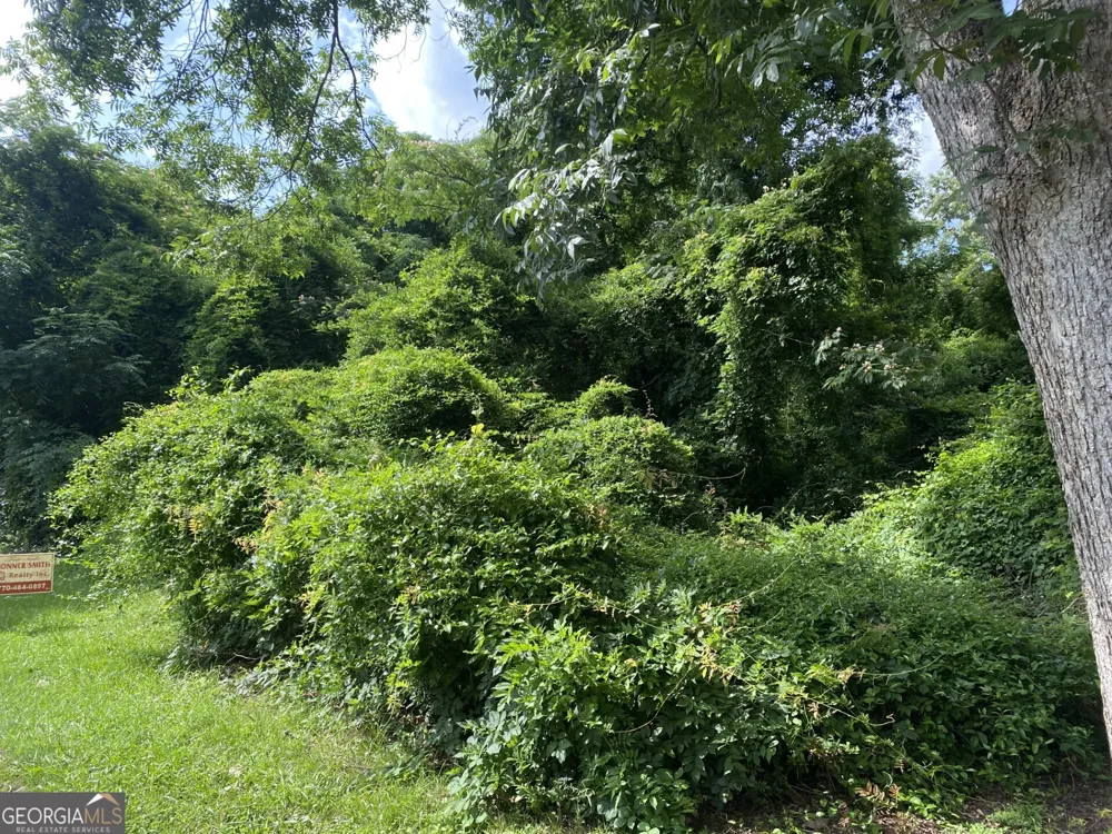 0 Dogwood North AVE Social Circle, GA 30025