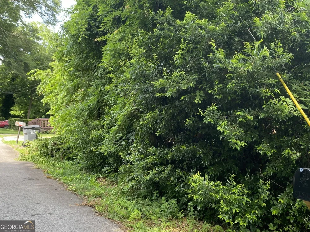 0 Dogwood North AVE Social Circle, GA 30025