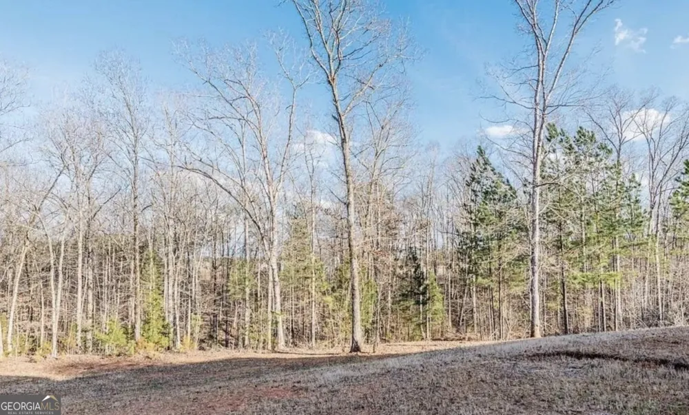75 Creekside CT Forsyth, GA 31029