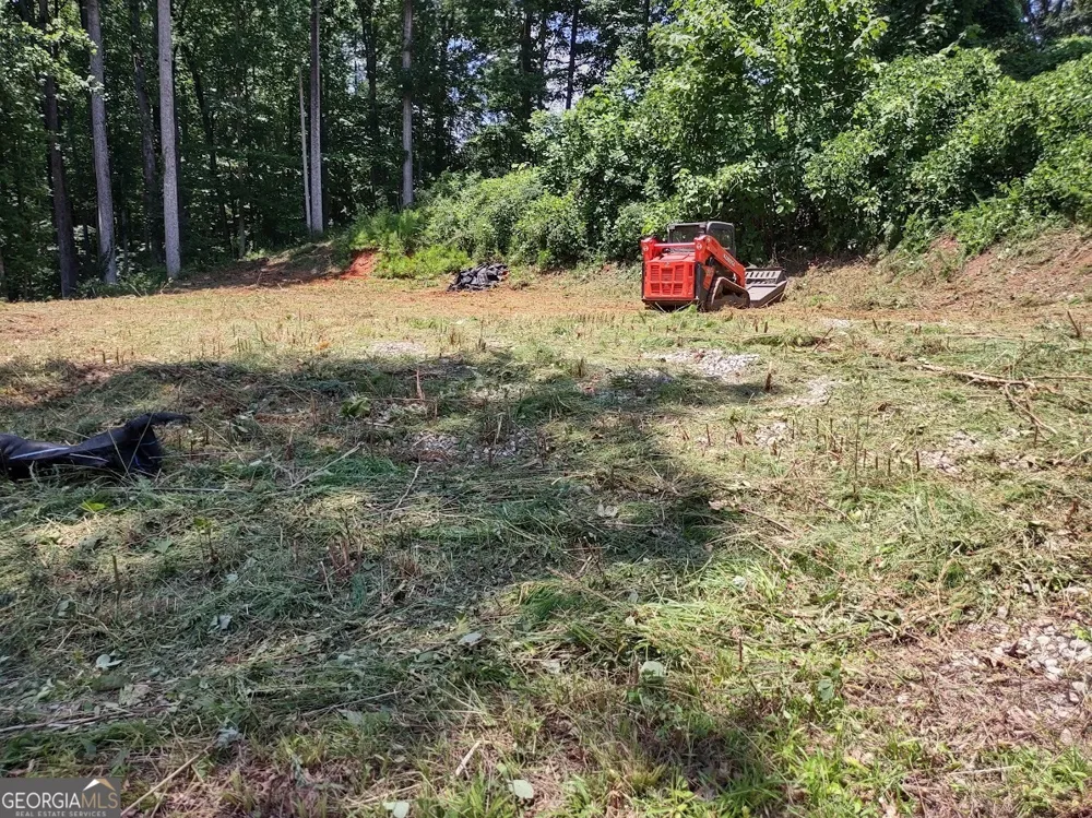 226 Farmbrook PKWY Stockbridge, GA 30281