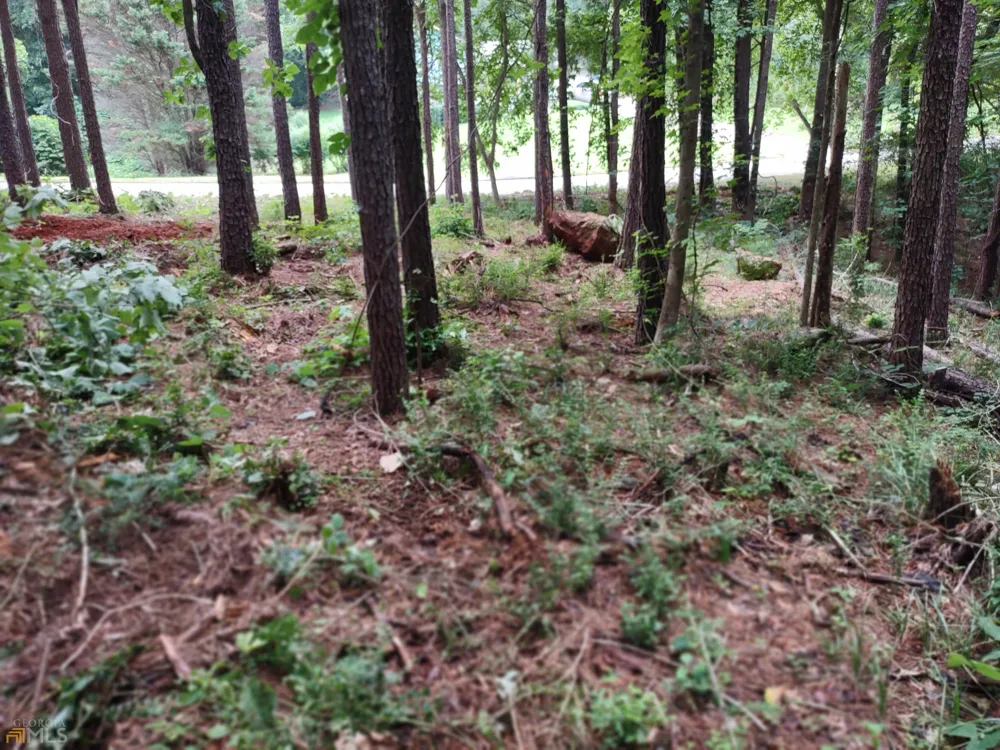 226 Farmbrook PKWY Stockbridge, GA 30281