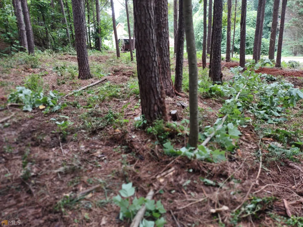 226 Farmbrook PKWY Stockbridge, GA 30281