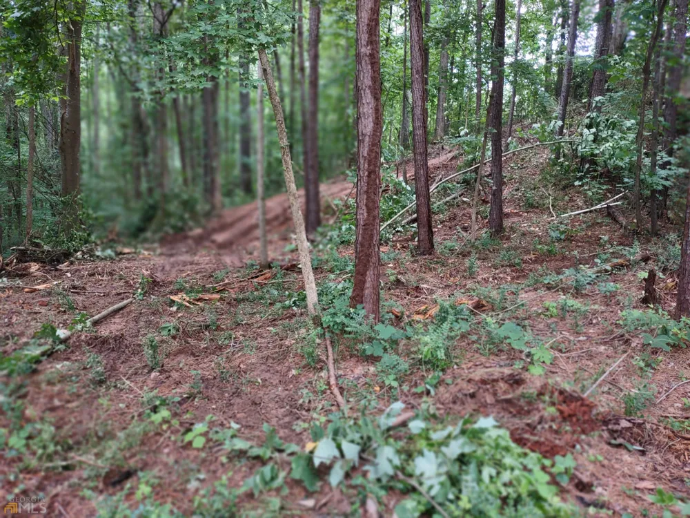 226 Farmbrook PKWY Stockbridge, GA 30281