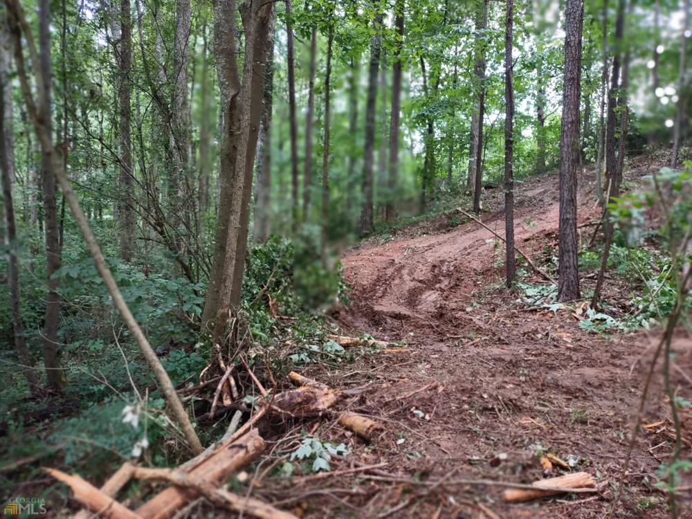 226 Farmbrook PKWY Stockbridge, GA 30281