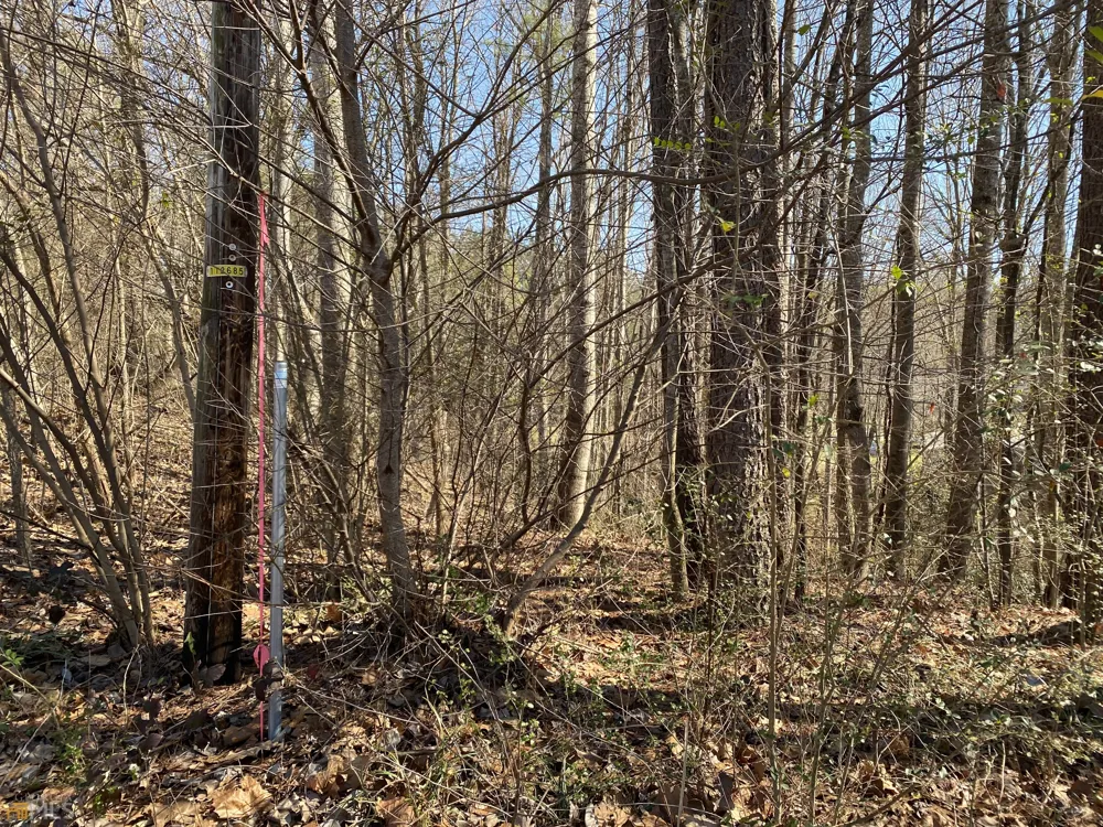 226 Farmbrook PKWY Stockbridge, GA 30281