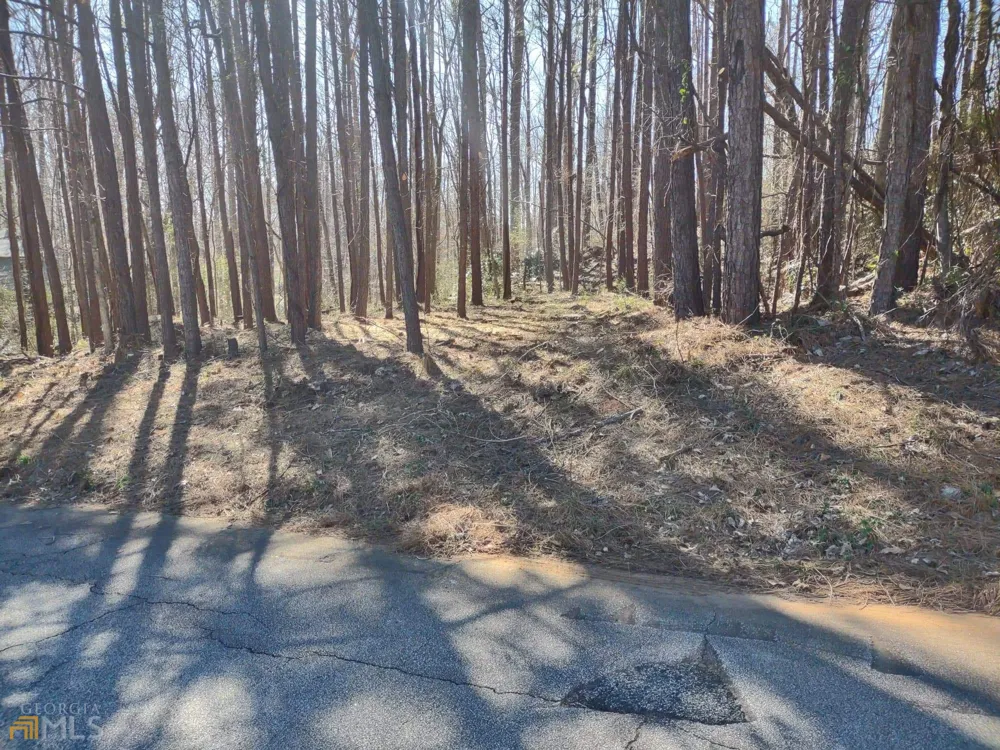 226 Farmbrook PKWY Stockbridge, GA 30281