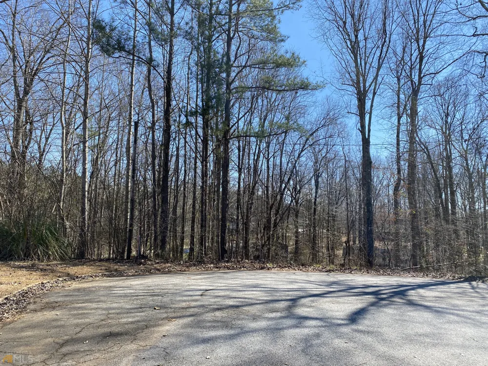 226 Farmbrook PKWY Stockbridge, GA 30281