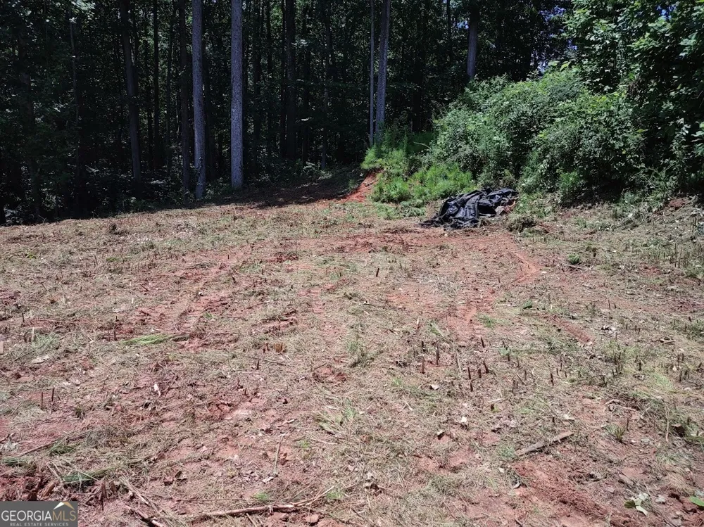 226 Farmbrook PKWY Stockbridge, GA 30281