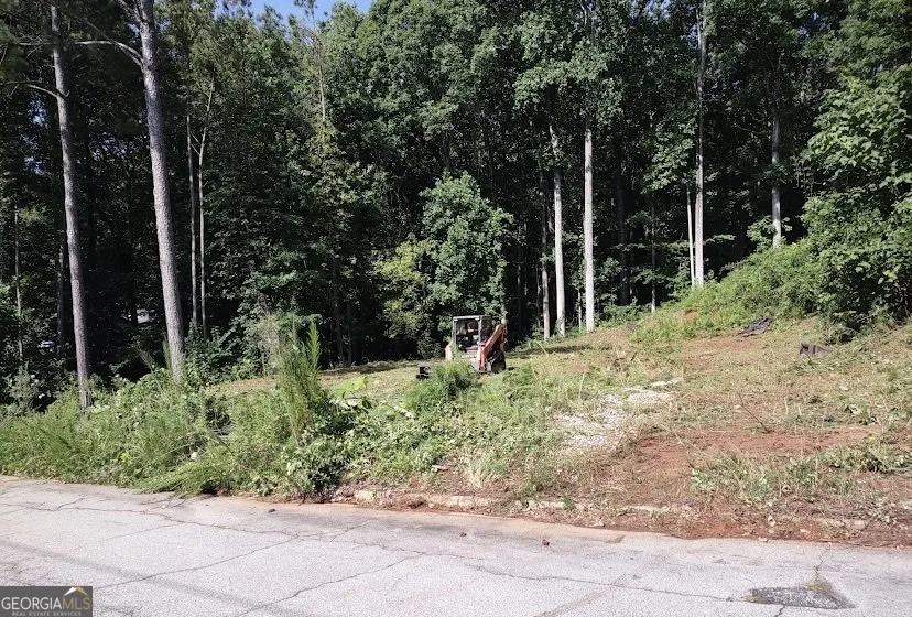 226 Farmbrook PKWY Stockbridge, GA 30281
