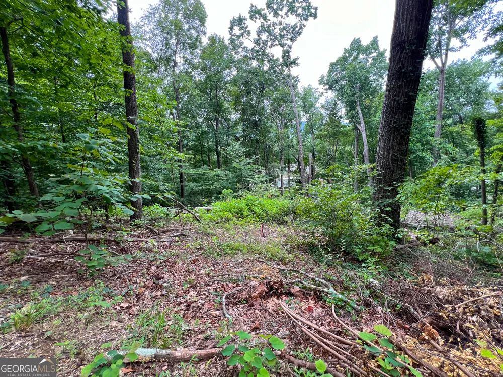 0 Shannon DR Dalton, GA 30720