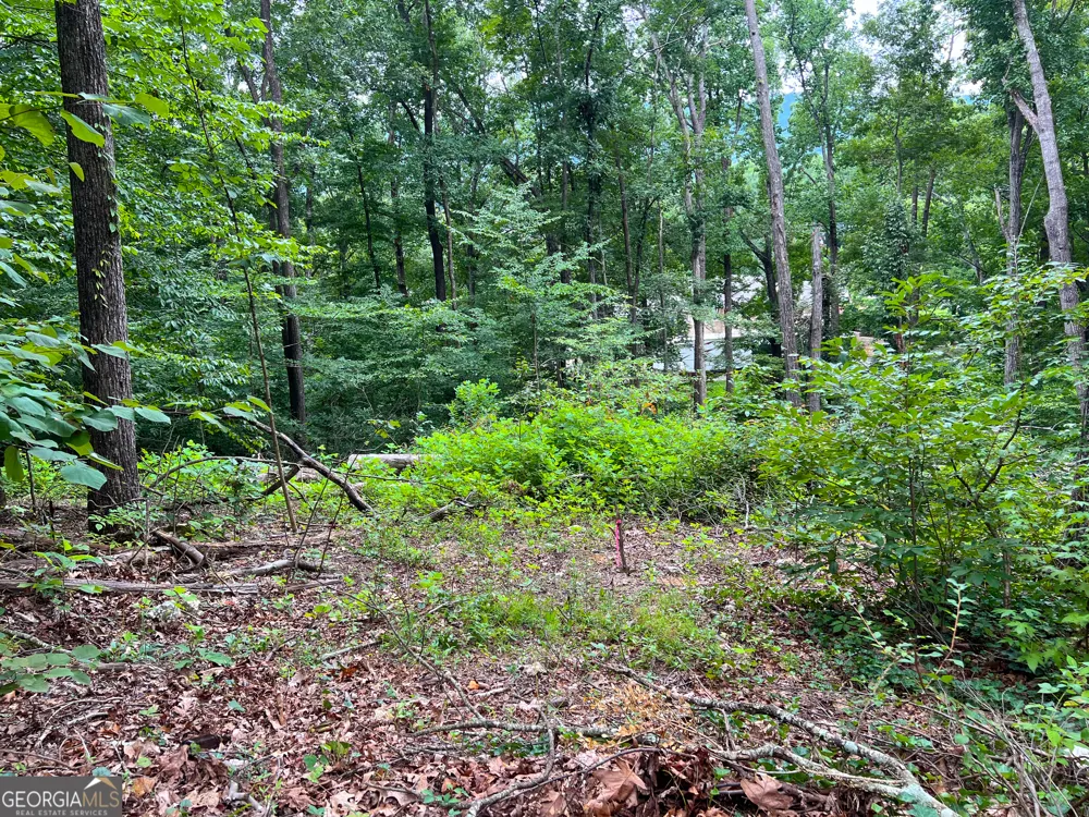 0 Shannon DR Dalton, GA 30720