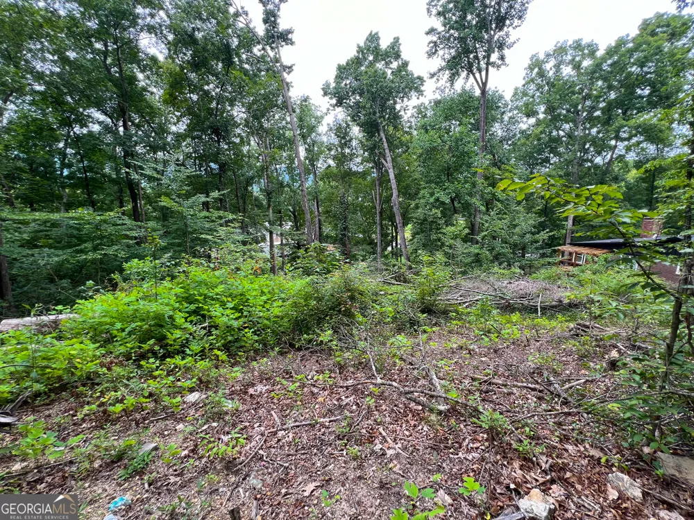 0 Shannon DR Dalton, GA 30720