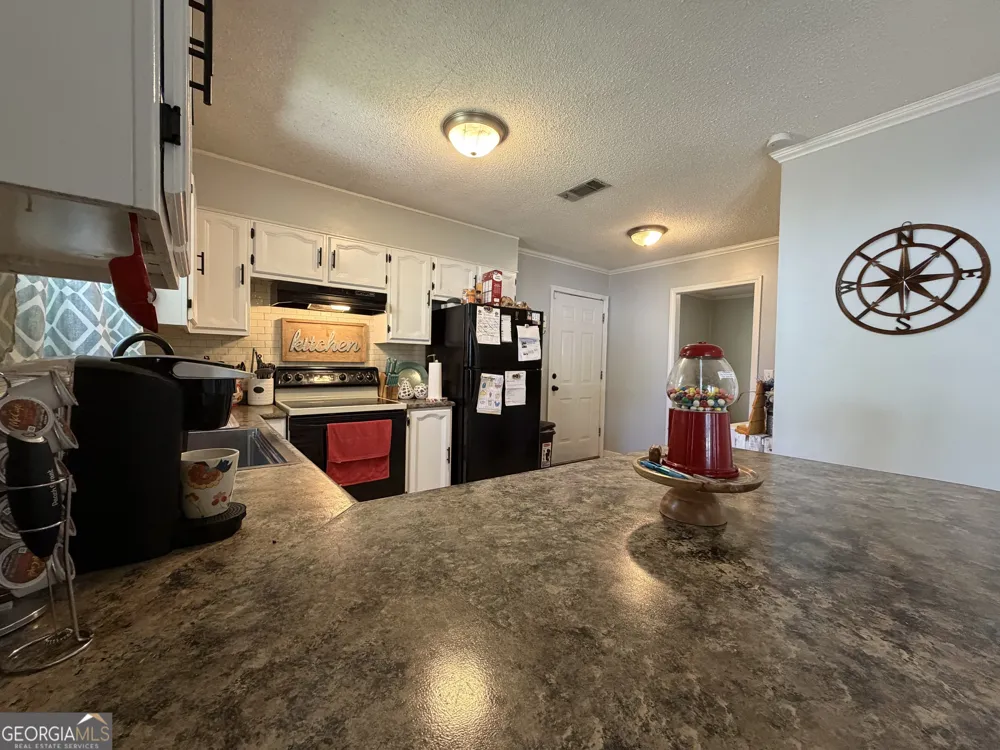 53 Carey DR Hazlehurst, GA 31539