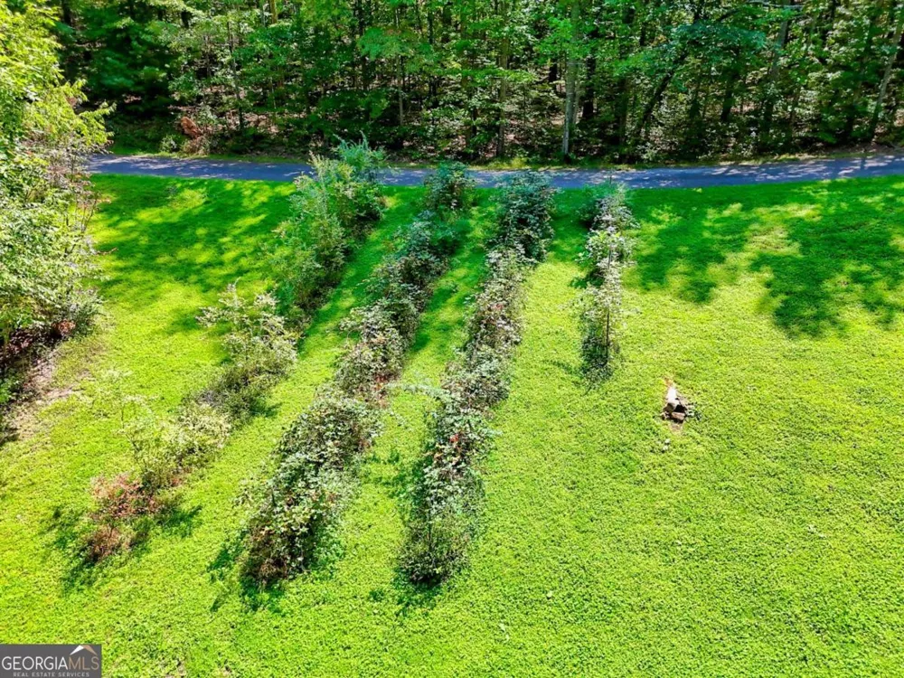2204 Cedar Cliff RD Hiawassee, GA 30546